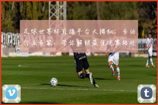 足球世界杯直播平台大揭秘：专访行业专家，带你解锁最佳观赛路径